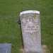 Thomas Briggs Photo 58