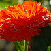 Charles Fabiano Photo 21