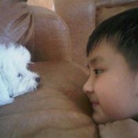 Harry Chan Photo 8