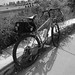 Eric Fargo Photo 21