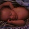 Brandon Betz Photo 6
