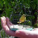 Chris Theiss Photo 26