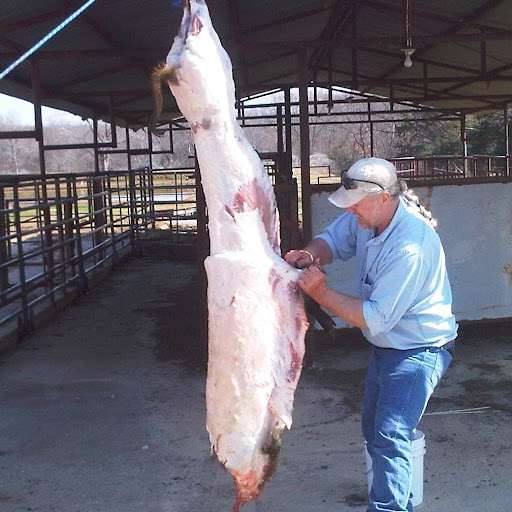 Tim Milam Photo 13