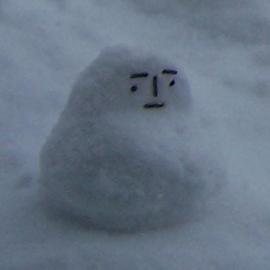 Scott Burkholder Photo 10