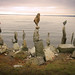 Gregory Hart Photo 40