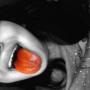 Flor Galindo Photo 9