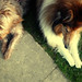 Lucy Wilson Photo 50