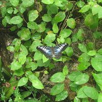 Tracey Rodgers Photo 7