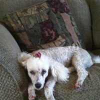Charlie Walter Photo 7