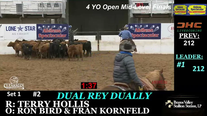 Terry Kornfeld Photo 11