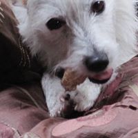 Tracey Jane Photo 6
