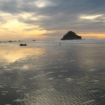Suzanne Cope Photo 12