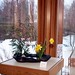 Carol Blom Photo 22