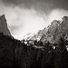 Adam Estes Photo 38