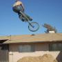 Patrick Phillips Photo 36
