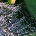 Howard Feathers Photo 13