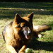 Stephen Boos Photo 27