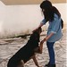 Sandra Quintal Photo 15