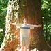 Forest Mcmillan Photo 12