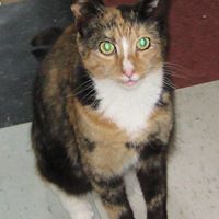 Callie Clark Photo 1