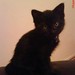 Donna Milton Photo 37