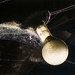 James Pullen Photo 41