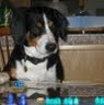 Patty Ross Photo 13