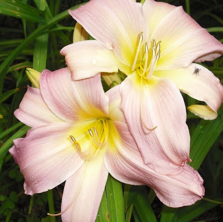 Colleen Turner Photo 15