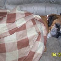 Darlene Rabon Photo 1
