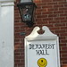 Lisa Demarest Photo 19