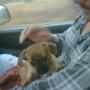 Rachel Beckner Photo 16