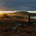 Glen Gates Photo 24