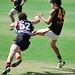 Michael Collings Photo 38
