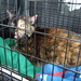 Laurie Askew Photo 12