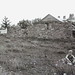 Columbus Smith Photo 23