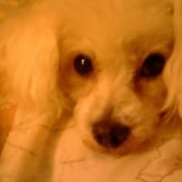 Sherry Stewart Photo 5