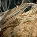 Richard Maclaren Photo 15