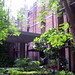 Hasmukh Patel Photo 48