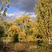 James Broadwater Photo 41