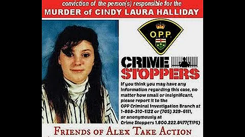 Cindy Halliday Photo 19
