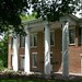 Sam Hall Photo 44