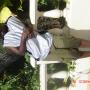Ronald Francis Photo 25