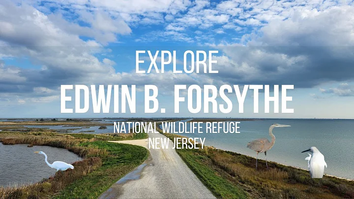 Edwin Forsythe Photo 4