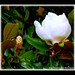 Melissa Thies Photo 18