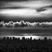 Alfred Rodriguez Photo 40