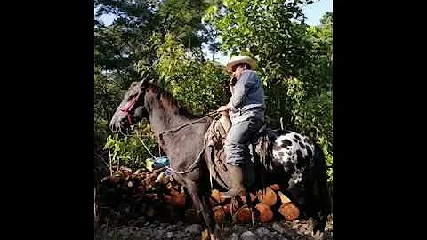 Ignacio Valle Photo 22