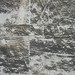 Samuel Leger Photo 18