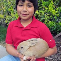 Adolfo Vega Photo 3
