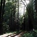 Susan Crowley Photo 44