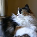 Cookie Long Photo 24